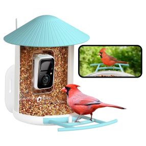   Birdfy Madáretető kamerával, (ingyenes AI egy életre) (EPPAMBNI8101100)