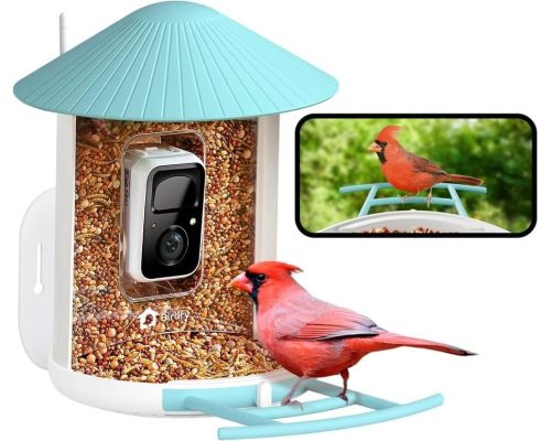 Birdfy Madáretető kamerával, (ingyenes AI egy életre) (EPPAMBNI8101100)