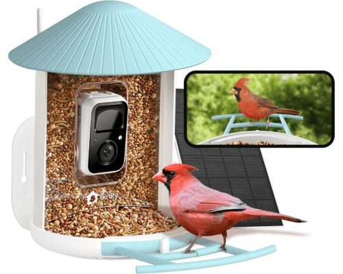 Birdfy Madáretető kamerával és napelemmel, AI előfizetéssel (EPPAMBNI8101110)