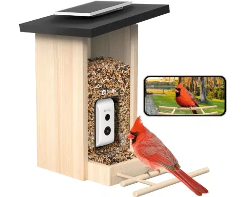 Birdfy Madáretető kamerával, ébenfa, AI